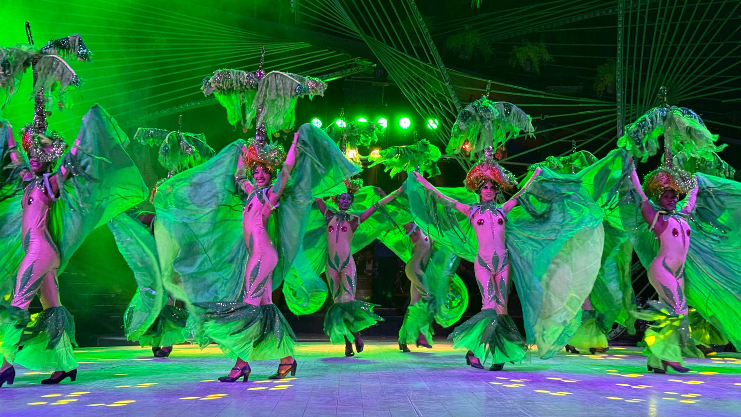 Amigos de Partagás 2025. Another Unforgettable Week in Havana